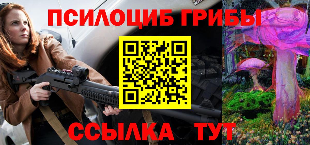 Галлюциногенные грибы Psilocybe Кисловодск