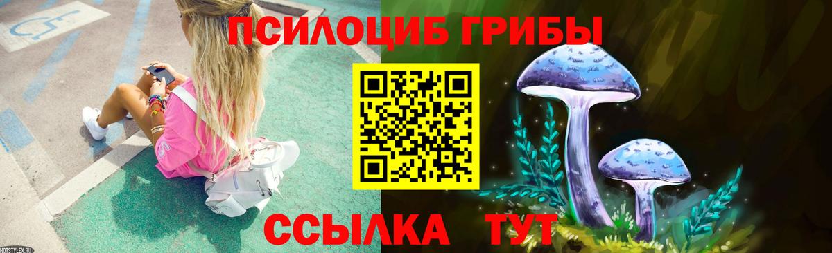 Кисловодск  хочу   Псилоцибиновые грибы Psilocybe  Вход с VPN  Псилоцибиновые грибы прущие грибы 